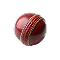 Cricket icon